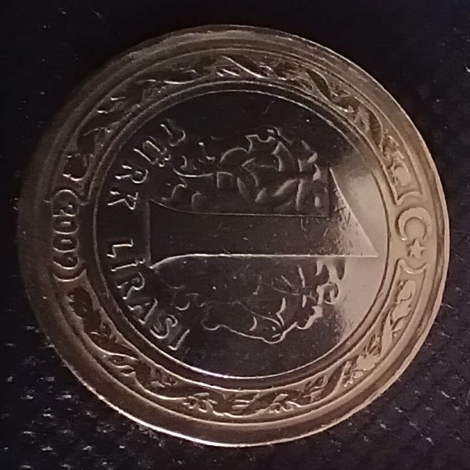 Additional view 2 of Turkey 1 Lira 2009 coin