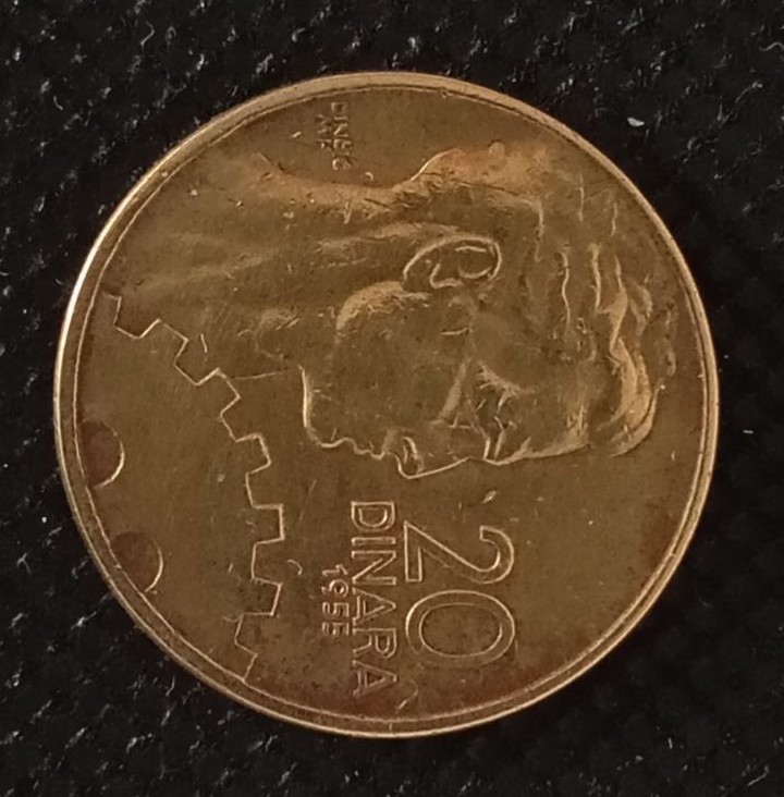 Additional view 1 of Yugoslavia 20 Para 1955 coin